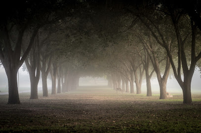Universidad Internacional de Texas A&M, Laredo