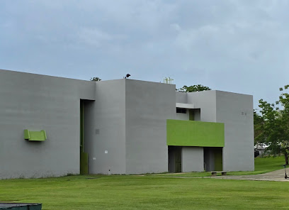 Enfermería, Puerto Rico