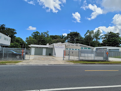 Instituto de Mandarín: El Futuro - 未来中文学院