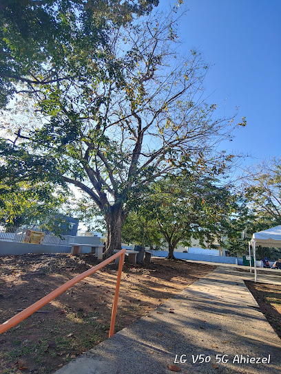 Escuela República de Colombia, Río Piedras