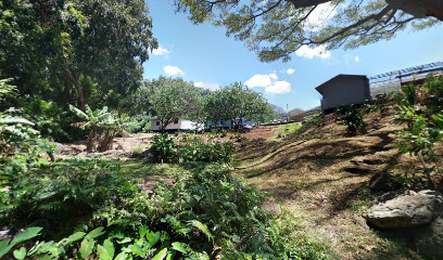 Kula Kaiapuni 'O Ānuenue, Hawai