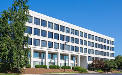 Georgia Cyber Academy, Atlanta