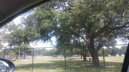 Scarborough Elementary School, Houston, Texas
