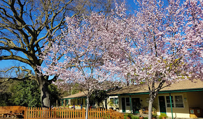Waldorf School of the Peninsula - Los Altos Campus, California