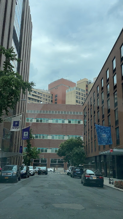 Escuela de Artes Visuales de Nueva York