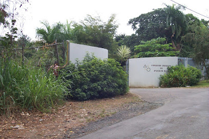 Colegio Creativo, Río Piedras