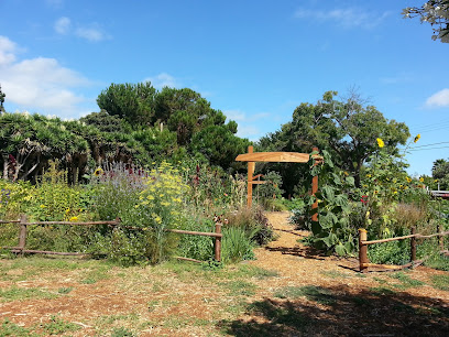Waldorf School of the Peninsula, California