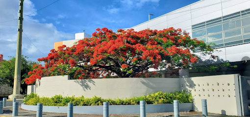 EMCT, San Juan