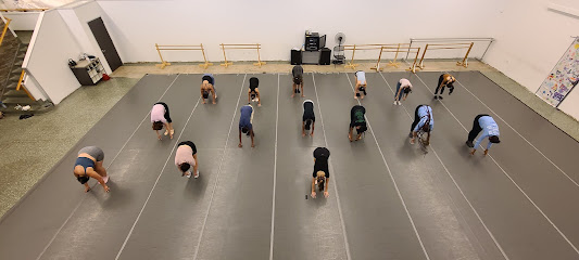 Houston Metropolitan Dance Center, Houston, Texas