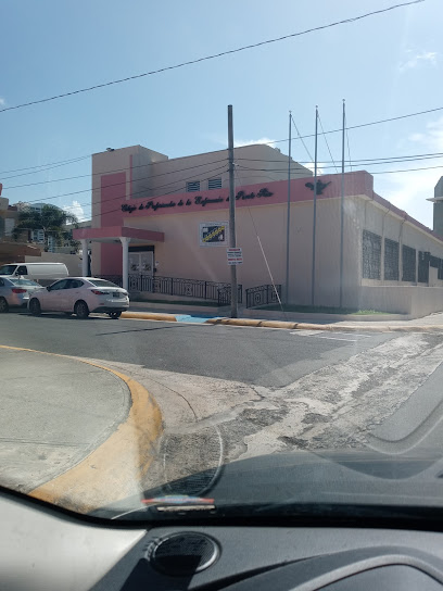Colegio de Profesionales de la Enfermería de Puerto Rico