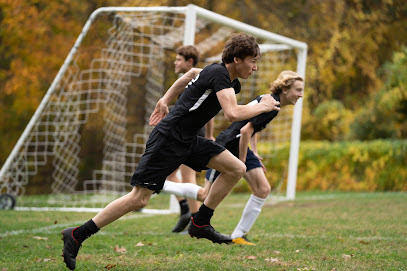 British International School of Boston