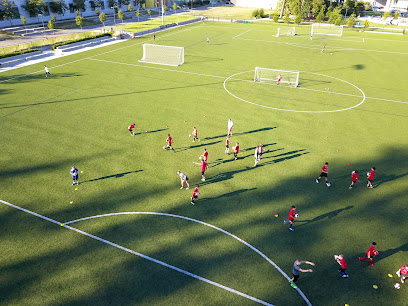 DV7 Soccer Academy New York