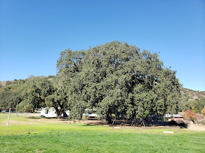 Marin Waldorf School, California