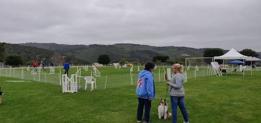 York School, California