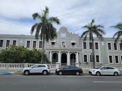 Escuela Especializada en Teatro José Julián Acosta, Puerto Rico
