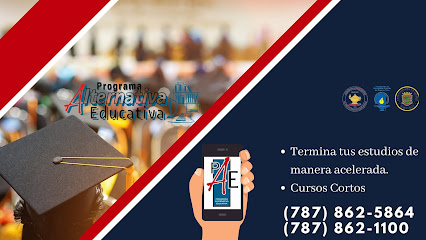 Programa de Alternativa Educativa INC, Puerto Rico