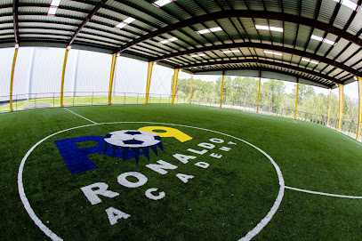 Academia do Fenomeno