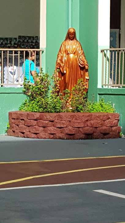 Colegio San Vicente de Paúl