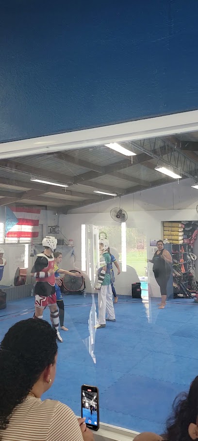 IDS Taekwondo Academy