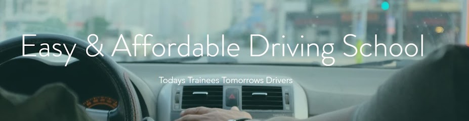 E.Z. & Affordable Driving Lesson, Los Ángeles