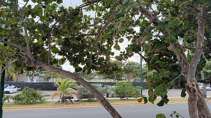 Escuela Dr. José Celso Barbosa, Río Piedras