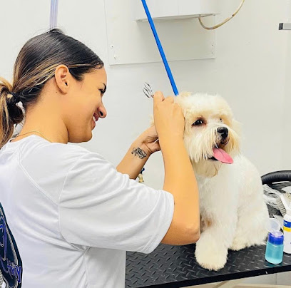 Dog Grooming USA & Groomer Artist Academy