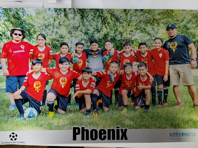 Academia Phoenix