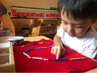 The Montessori Academy of Arlington