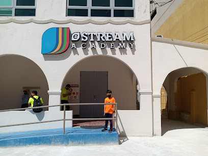 eSTREAM Academy