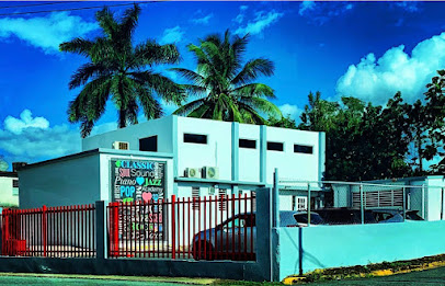 Metropolitan Music Arts Academy