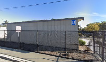 Central Language Academy