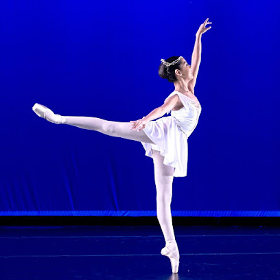 Vitacca Ballet & School For Dance, Houston