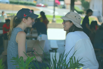 American English College