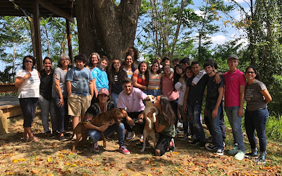 Secundaria Montessori de Puerto Rico