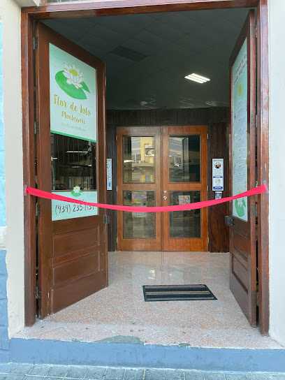 Escuela Flor de Loto Montessori